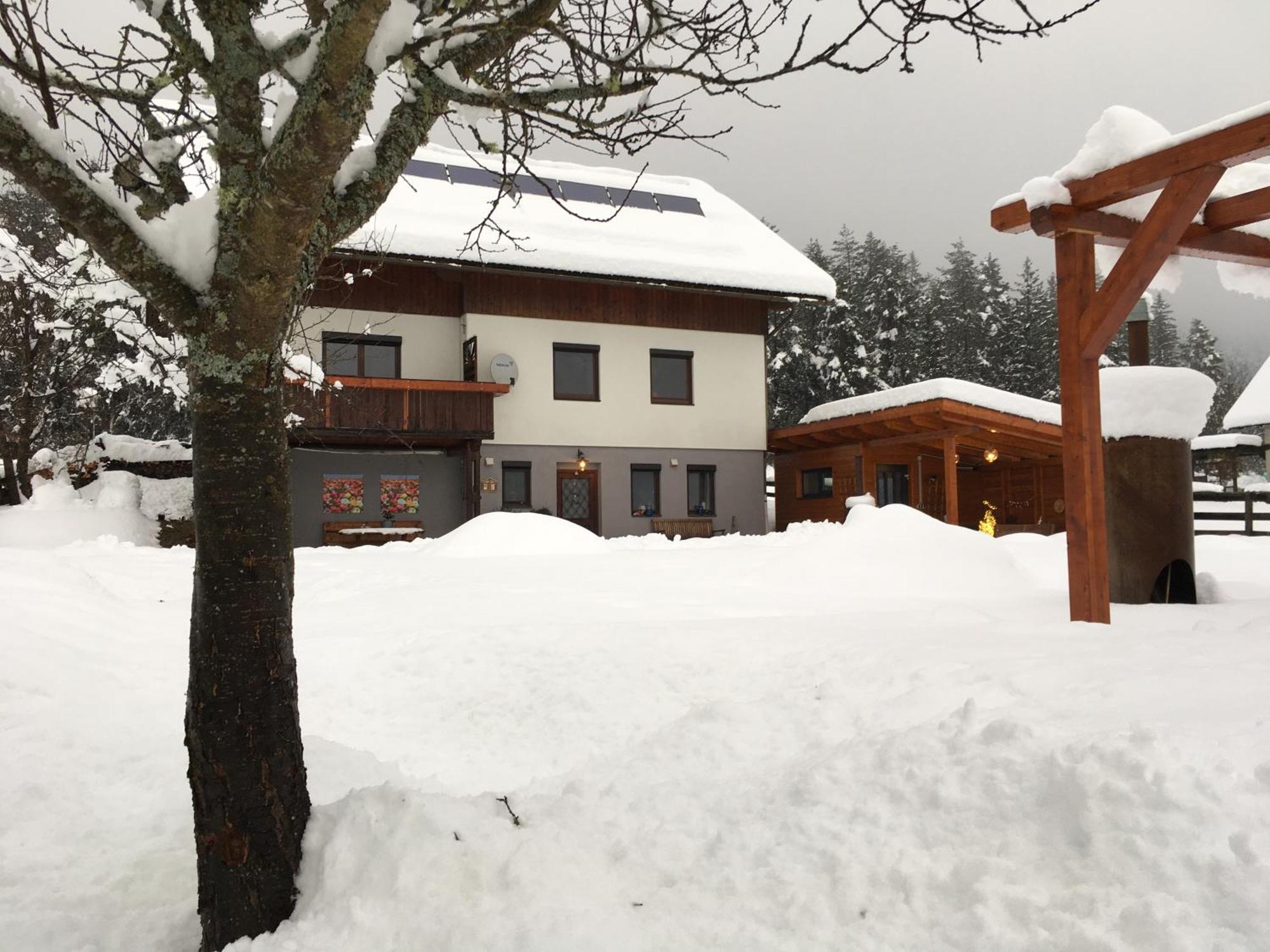 Apartamento Tom's Hütte Presseggersee Exterior foto